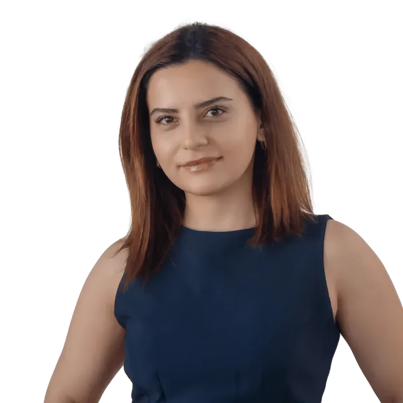 ハンデ・アルスラン＝サリカディオウル