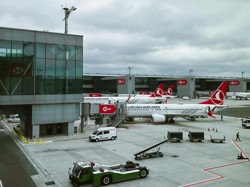 トルコからの外国人強制送還における法的支援。