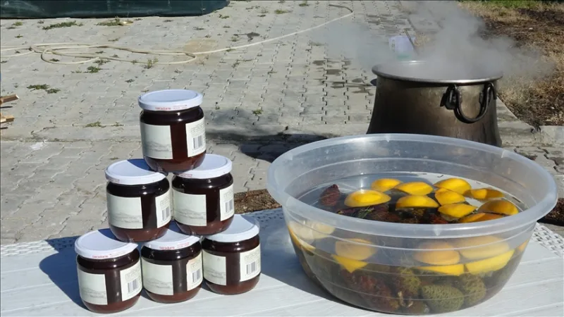 В Айвалыке сосновые шишки, проваренные в течение 8 часов на дровяном огне с помощью женского труда, превращаются в сироп