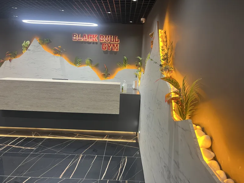 Black Bull Pro GYM — الصالة الرياضية في ألانيا: الطلب عبر الإنترنت والأسعار والتعليقات