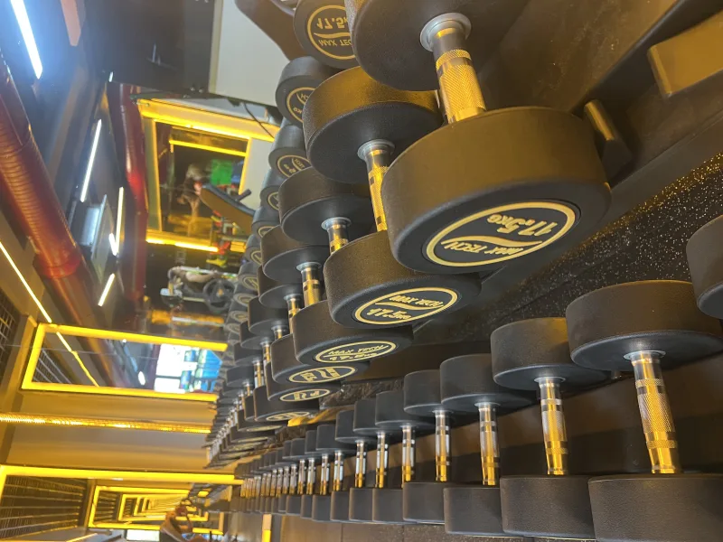 Black Bull Pro GYM — الصالة الرياضية في ألانيا: الطلب عبر الإنترنت والأسعار والتعليقات