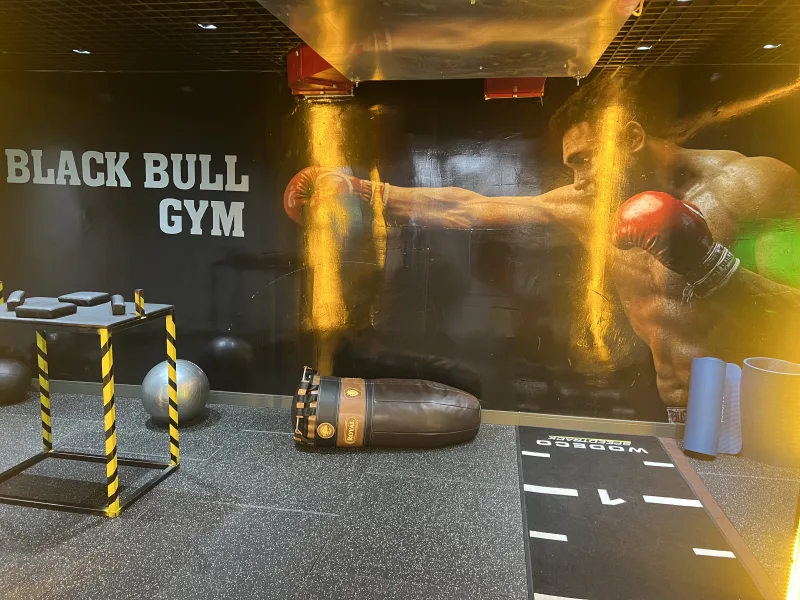 Black Bull Pro GYM — الصالة الرياضية في ألانيا: الطلب عبر الإنترنت والأسعار والتعليقات