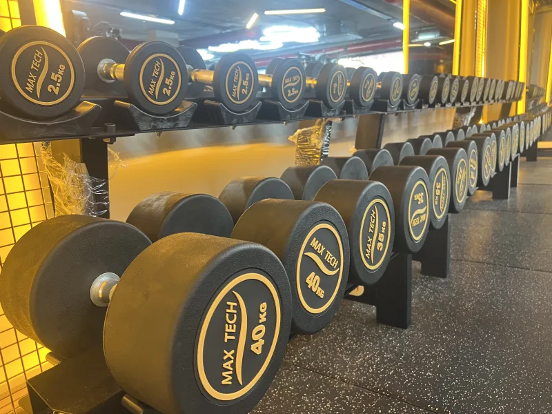 Black Bull Pro GYM — الصالة الرياضية في ألانيا: الطلب عبر الإنترنت والأسعار والتعليقات